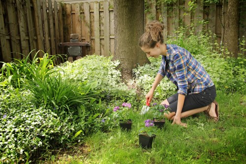 A young woman crouching on a well-maintained front lawn in a garden, tending to purple flowering plants with small black pots beside her. The garden features lush green grass, a variety of shrubs, and a large tree with a sturdy trunk providing shade. In the background, a wooden fence encloses the outdoor space, with a small garden ornament or feature visible near the fence line. The scene appears to be on a mild, sunny day, with natural light illuminating the vibrant greenery and creating a peaceful, well-kept outdoor environment suitable for gardening services offered by Lawn Mowing Millbank in the Millbank area or SW1 postcode district, with emphasis on detailed lawn care and garden maintenance.