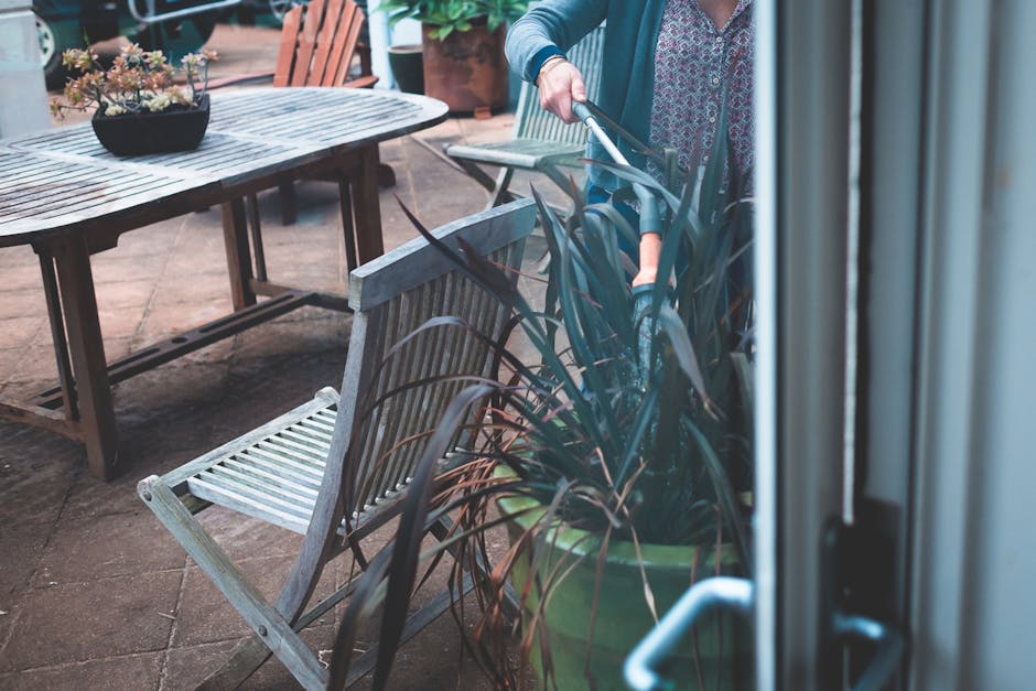 A person engaged in garden maintenance in a residential outdoor space, using a handheld electric hedge trimmer to trim a large, dark green potted plant, situated near a wooden garden table and chairs.